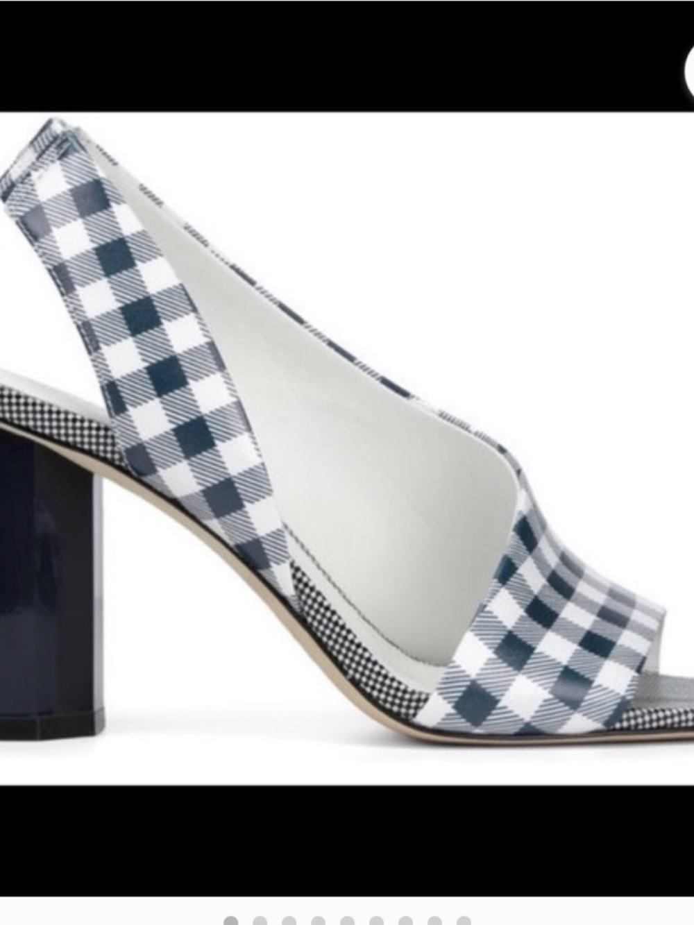 Donald J. Pliner Blue and White Gingham Peep-Toe Heels